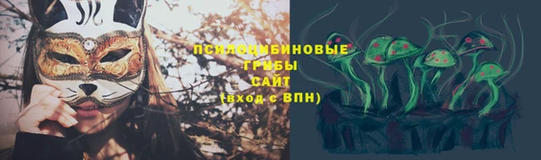 ECSTASY Армянск