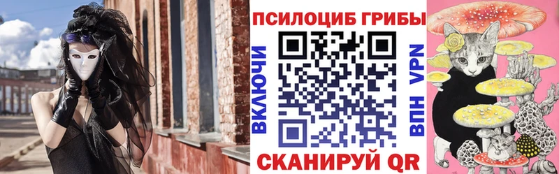 OMG зеркало сколько стоит Георгиевск Галлюциногенные грибы мухоморы